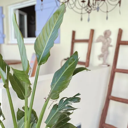 Ξενοδοχείο La Jabotte Αντίμπ