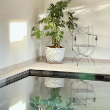 La Jabotte Αντίμπ