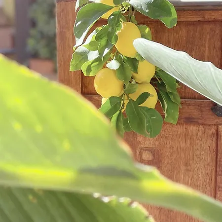 La Jabotte 3* Antibes