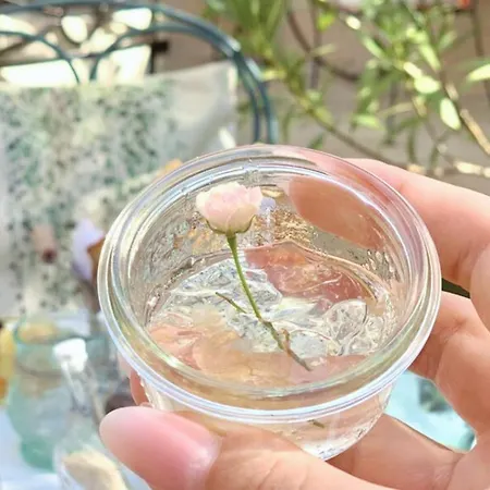 La Jabotte Hotel Antibes