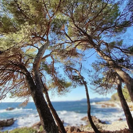 La Jabotte Hotel Antibes