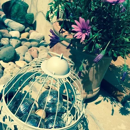 La Jabotte אנטיב